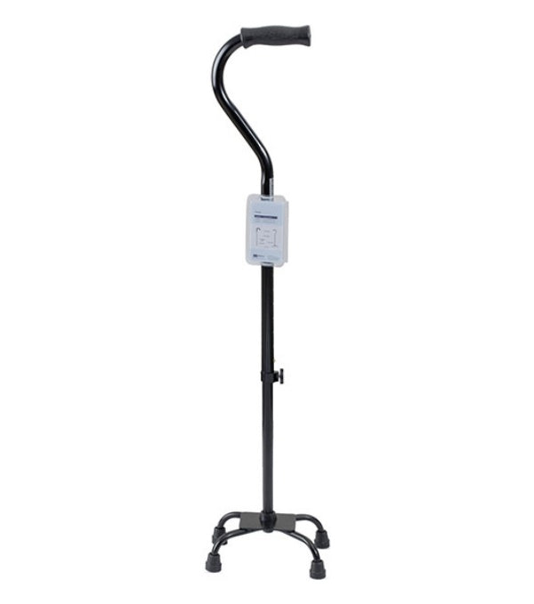 The Quad Cane