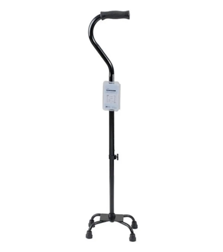 The Quad Cane
